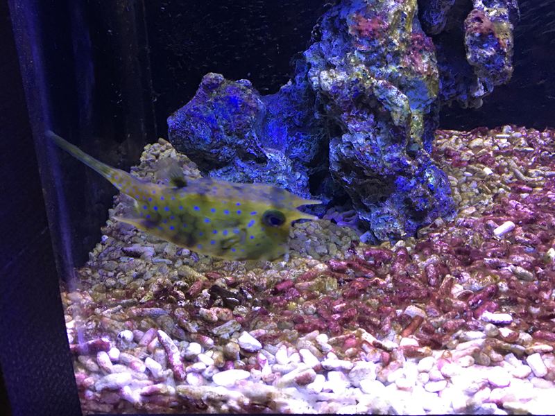 金車水產養殖研發中心