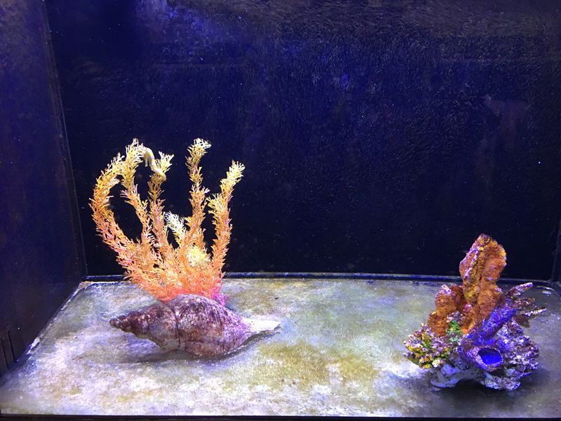 金車水產養殖研發中心