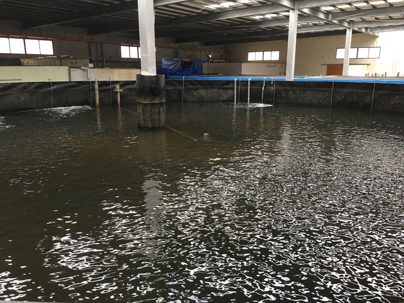 金車水產養殖研發中心