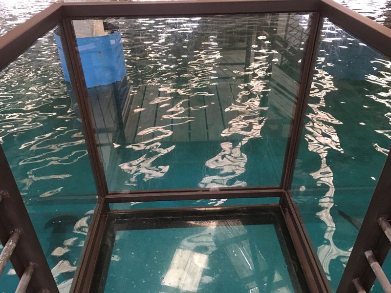 金車水產養殖研發中心