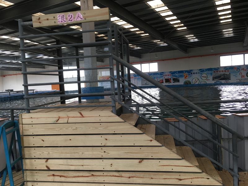 金車水產養殖研發中心