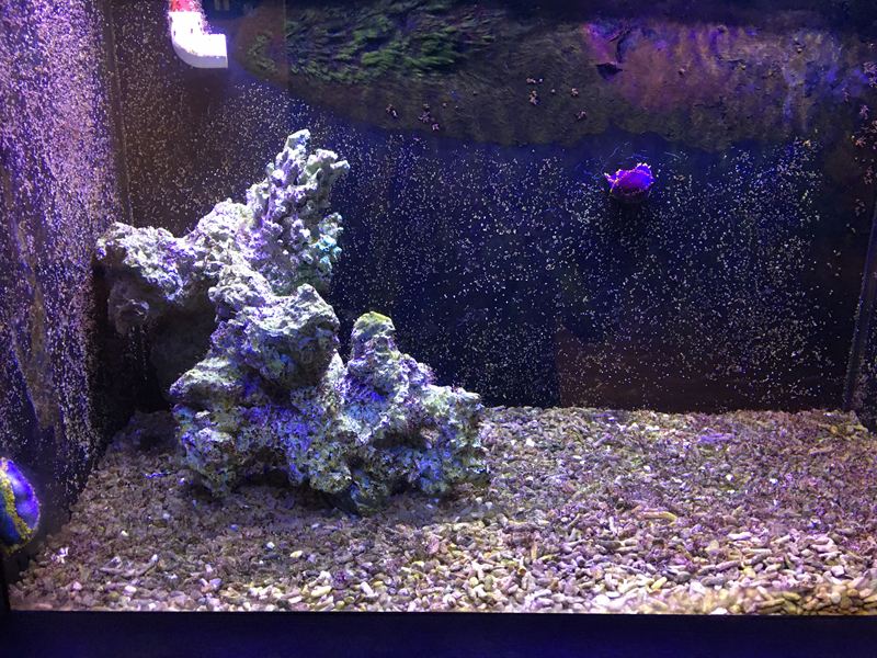 金車水產養殖研發中心