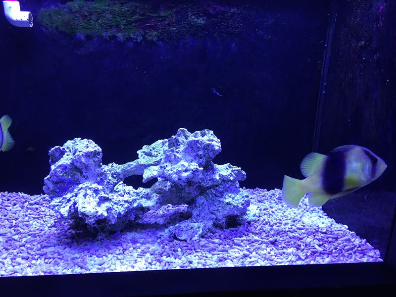 金車水產養殖研發中心