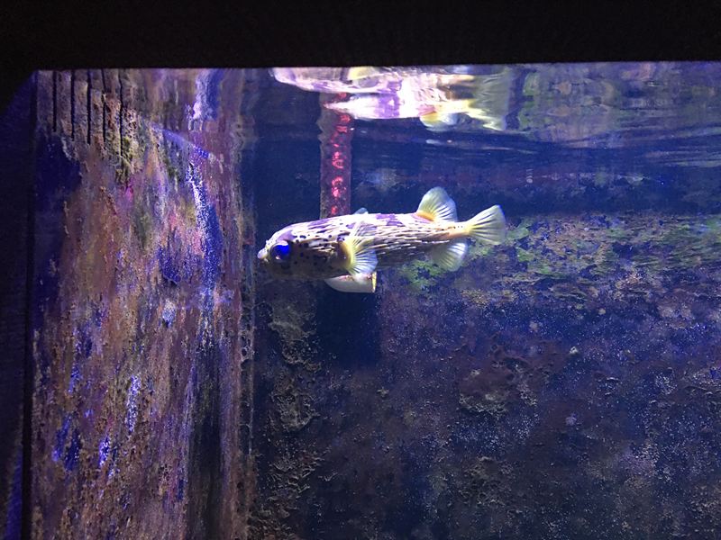 金車水產養殖研發中心