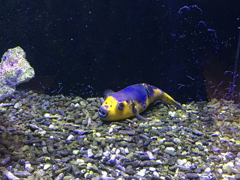 金車水產養殖研發中心