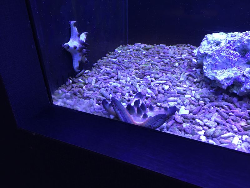 金車水產養殖研發中心