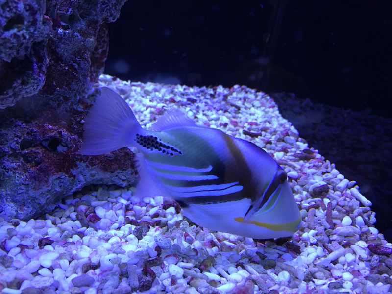 金車水產養殖研發中心