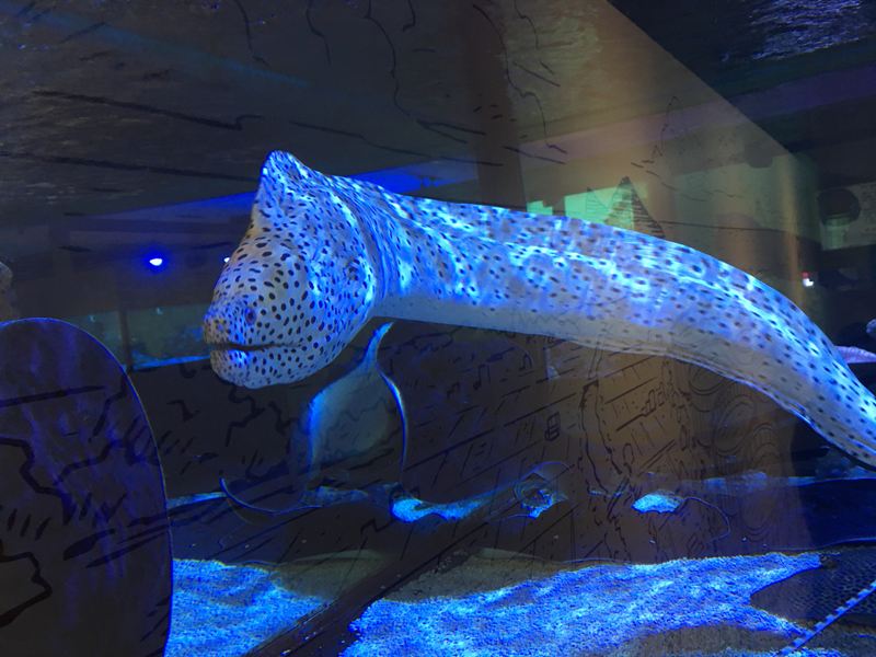 金車水產養殖研發中心