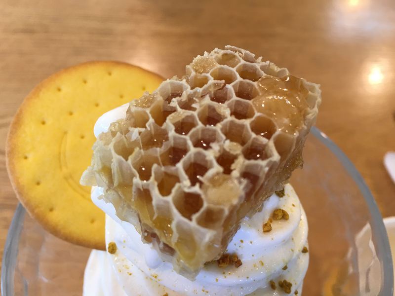 養蜂人家-蜂采館