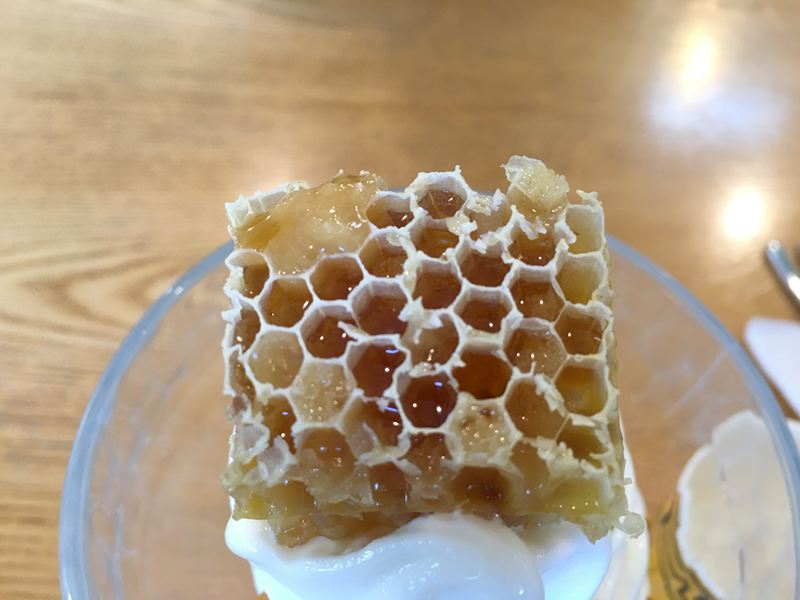 養蜂人家-蜂采館