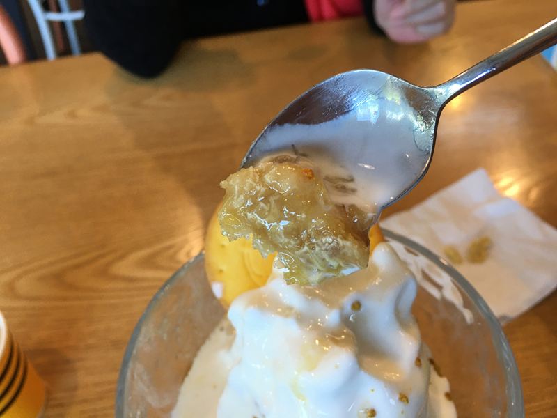 養蜂人家-蜂采館