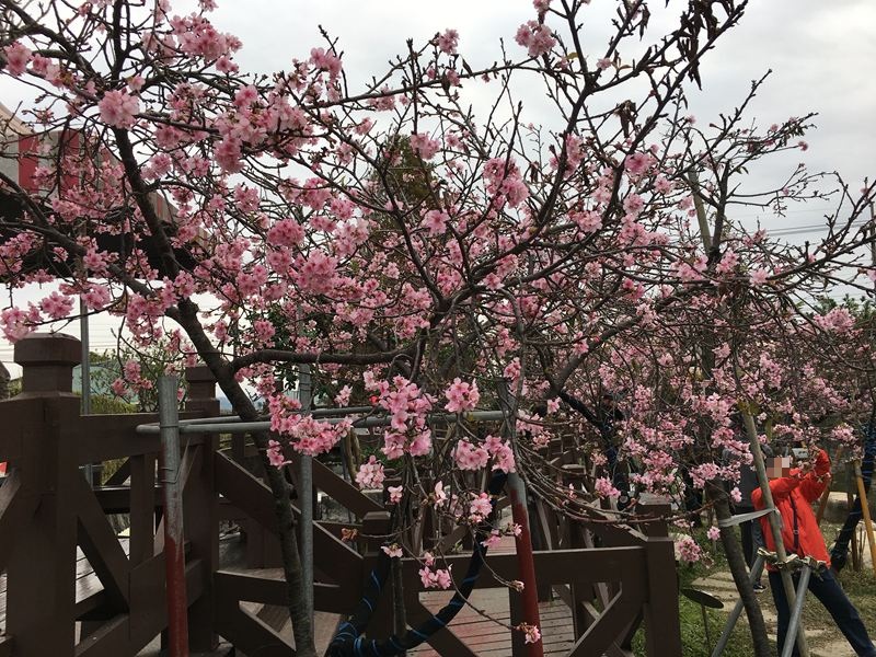 芬園花卉生產休憩園區