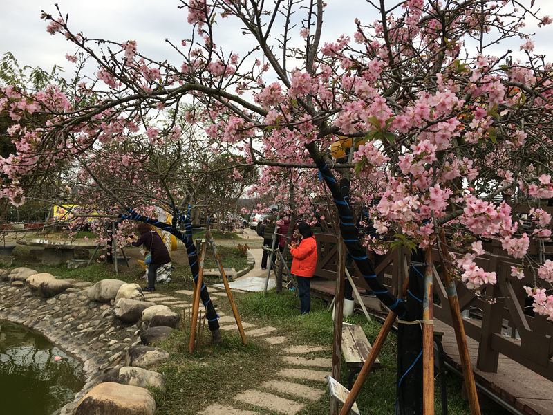 芬園花卉生產休憩園區