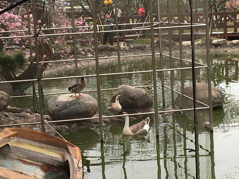 芬園花卉生產休憩園區