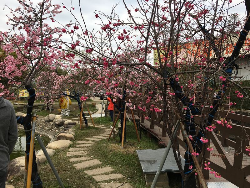 芬園花卉生產休憩園區