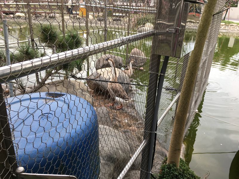 芬園花卉生產休憩園區
