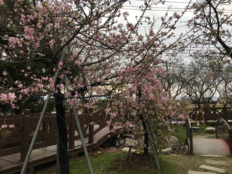 芬園花卉生產休憩園區