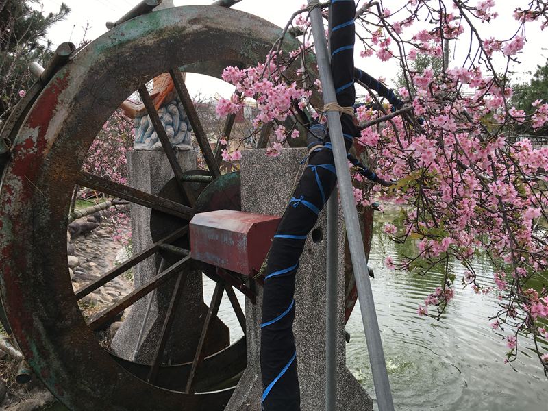 芬園花卉生產休憩園區
