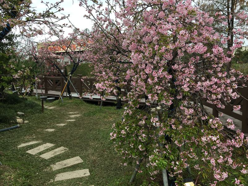 芬園花卉生產休憩園區