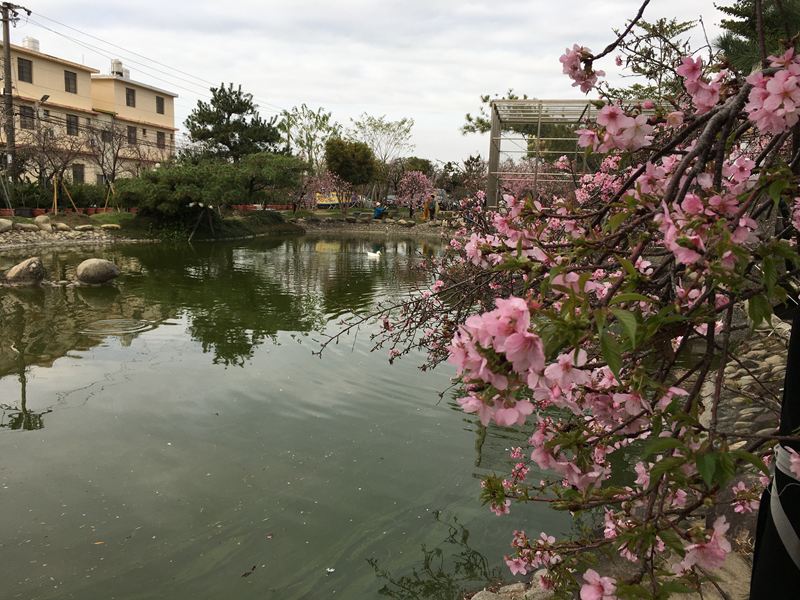 芬園花卉生產休憩園區