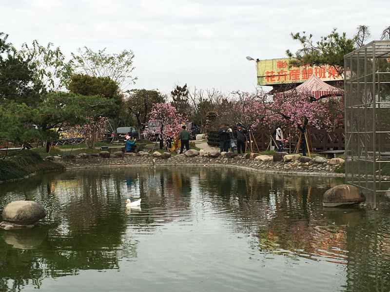 芬園花卉生產休憩園區