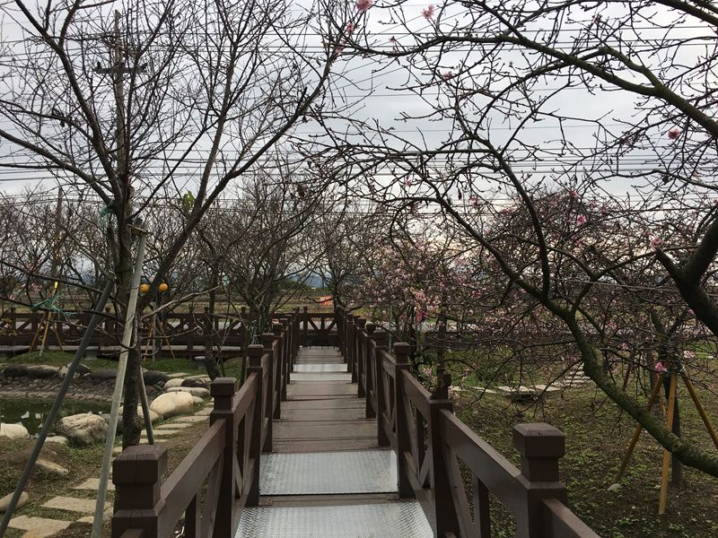 芬園花卉生產休憩園區