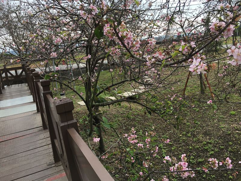 芬園花卉生產休憩園區