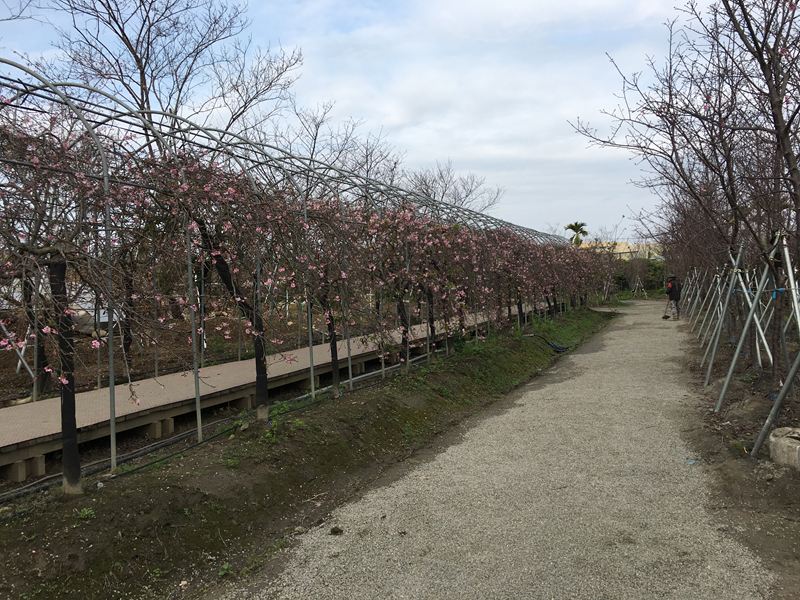 芬園花卉生產休憩園區